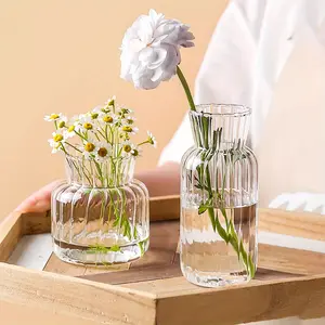Modern Square Glass Vase with Clear Striped Design for Water Plants Living Room Home Decoration Decorative Vase Decorative Flower Vase