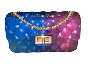 Small Blue & Pink Jelly Bag