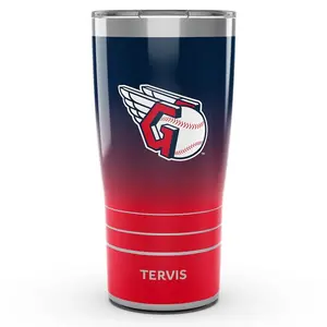 20oz. Ombre Stainless Steel Tumbler