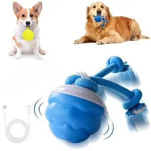 Interactive Dog Toy with Motion Sensor, Squeaky Dog Toy, Durable Chew, Active Rolling Ball, Daily Training Rollerball, Pet Accessories, Cute Pet Toys