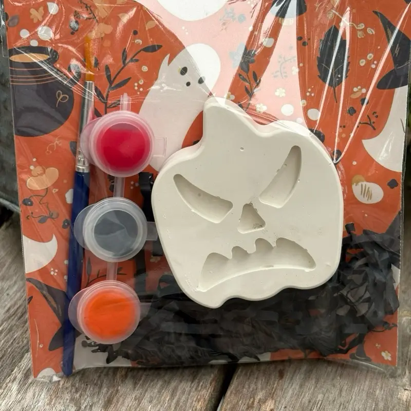 Halloween pumpkin paint kit