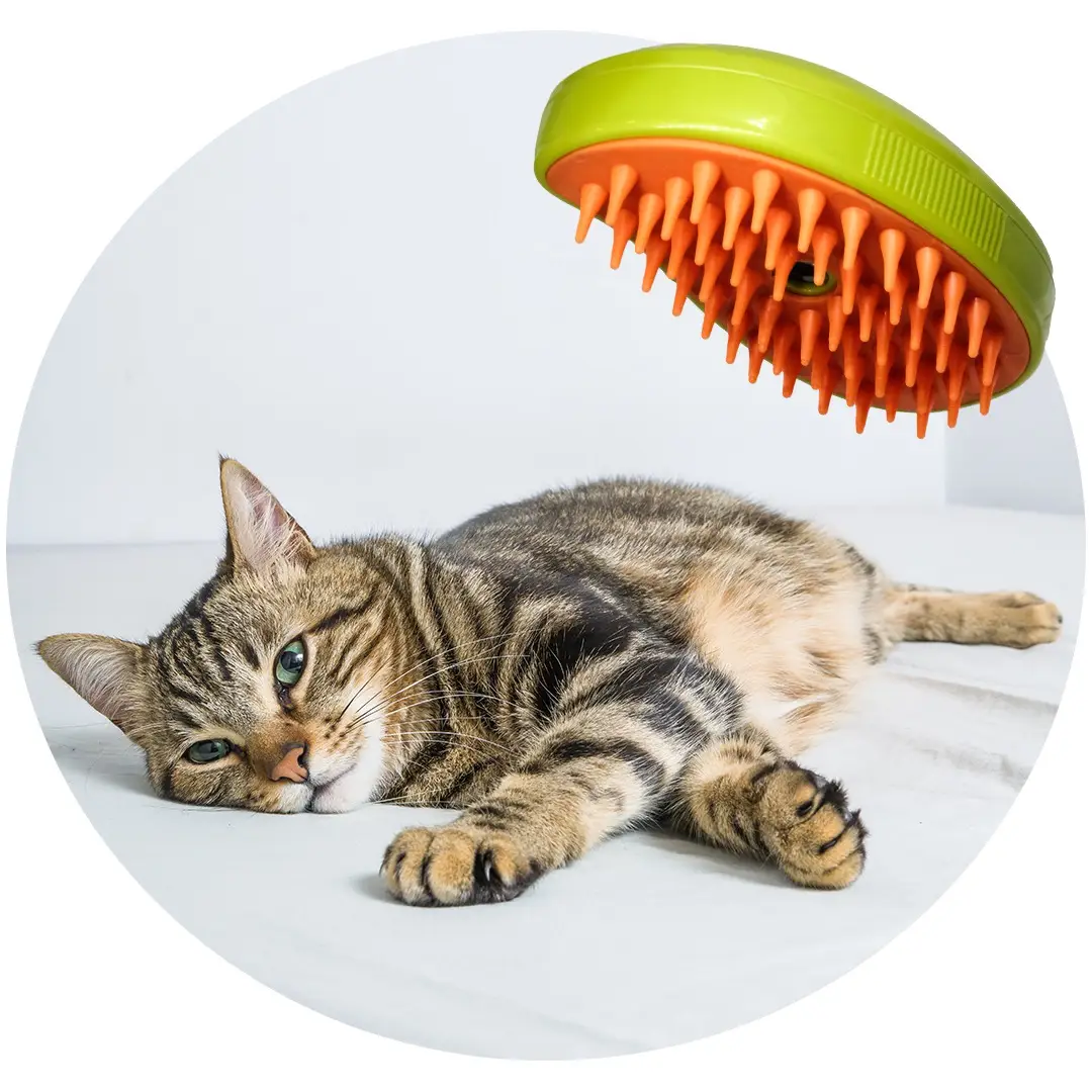 Pet Spray Brush: 3-in-1 Hair Removal, Rechargeable, Affordable – Cat Brush for Detangling and Shedding, Pet Supplies