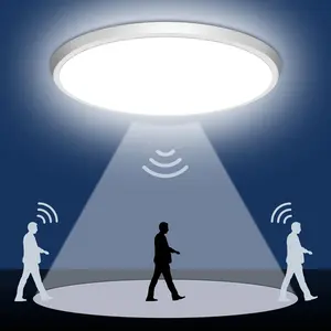 (2 Pieces) Human Motion Sensor Ceiling Light, 24w LED, Smart Sound Control, Ideal for Closet, Hallway, Garage, Basement - 5000k
