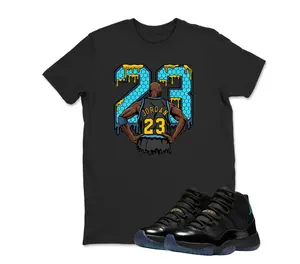 AJ11 Gamma Matching T Shirt, MJ 23 Graphic Shirt, 90s Hip Hop Tee, Gift For Women and Man, Unisex T-Shirt, Sneaker Head Gift
