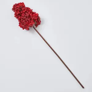 27" Long Stem Burgundy Red Seeding PeeGee Hydrangea Single or Bundle of 6