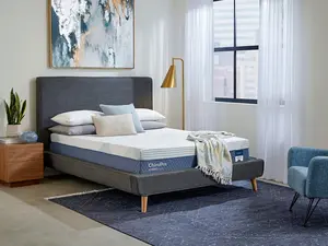 ChiroPro Plush Mattress