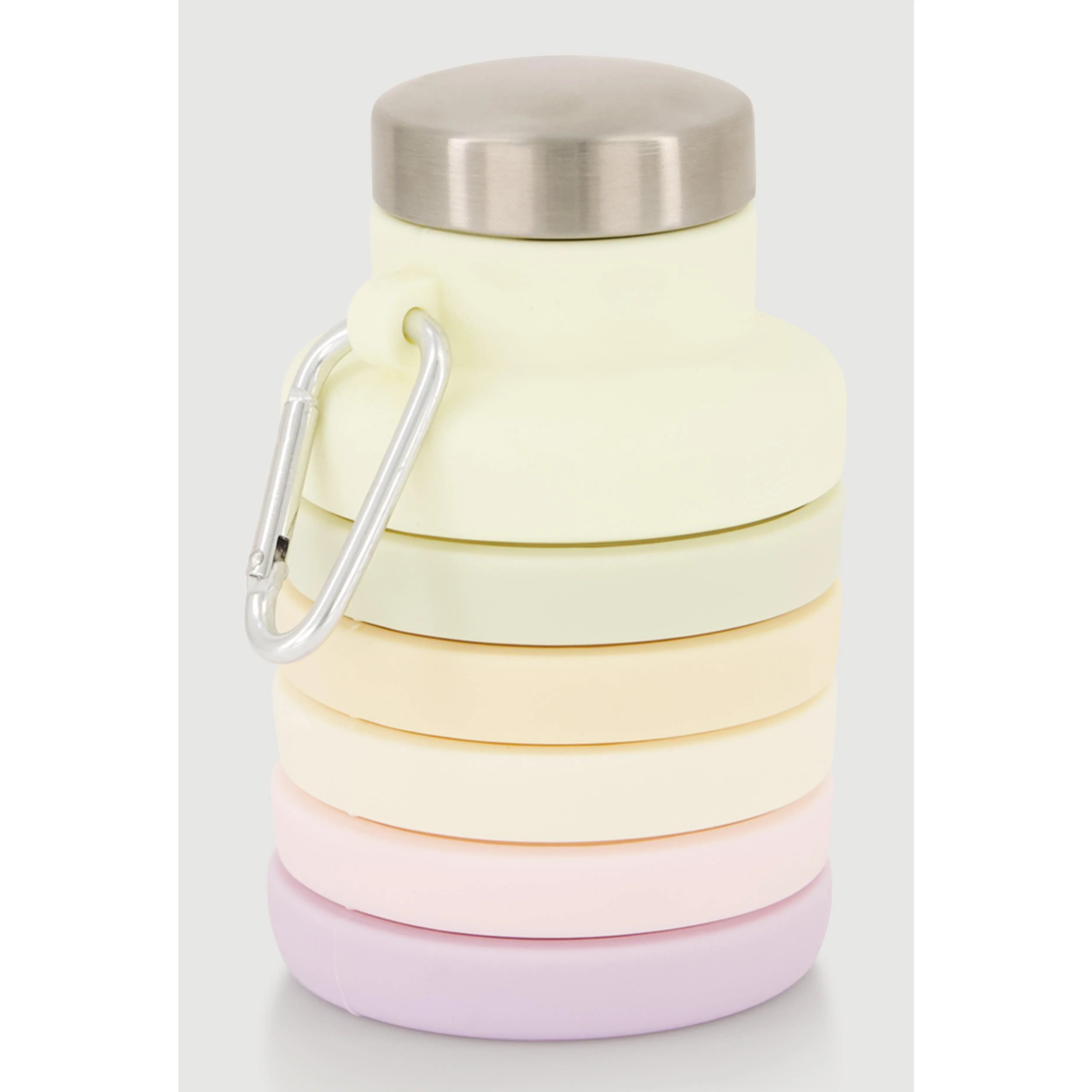 Ombre Collapsible Water Bottle