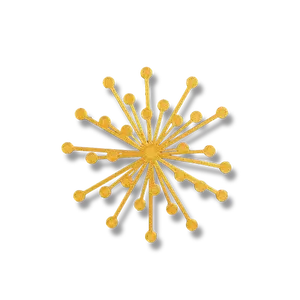 Firework Burst
