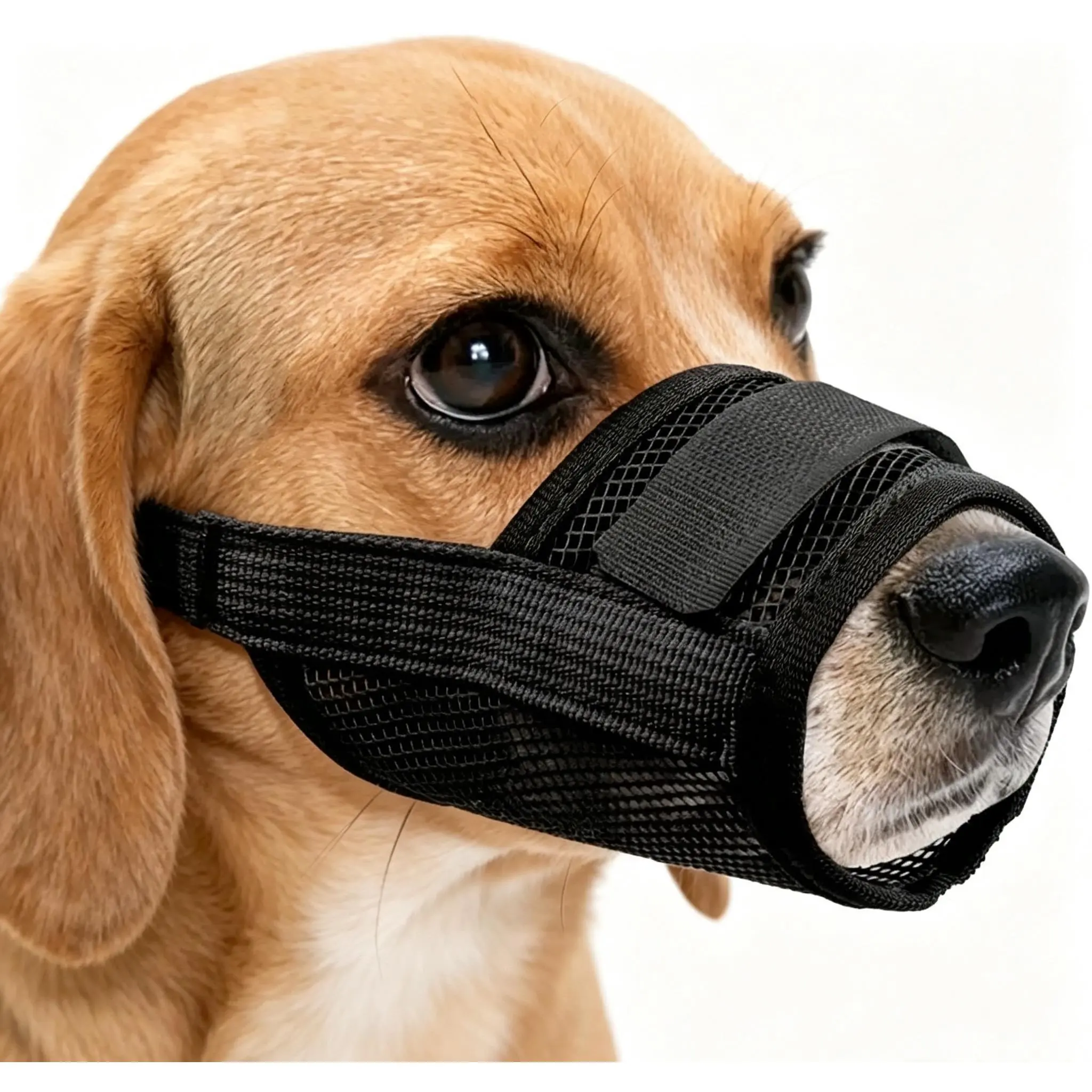 Dog Muzzle  Black Mesh Anti-Biting Chewing Eating Adjustable Strap Breathable Mouth Guard for Small Dogs Grooming Walking Vet Visiting