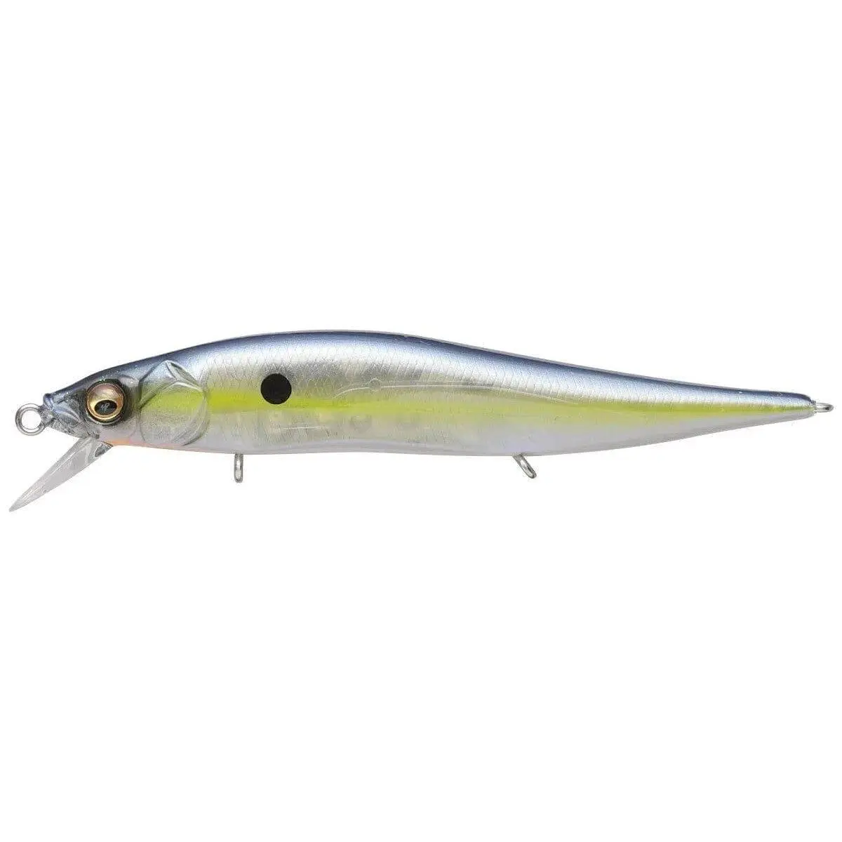 Gp Sexy Shad