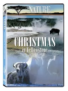USED-Nature: Christmas in Yellowstone (DVD)