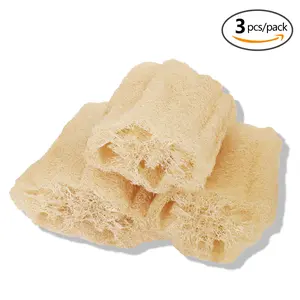 ASD Natural Loofah Body Scrubber Sponge Set of 3 Organic 5 Inch Luffa for Exfoliating & Smooth Skin Cleansing Ideal for Men & Women Spa & Shower Use Eco-Friendly & Sustainable Choice - Synthetic, Pack Stainless Steel Grill and Cookware, Nature, Plant tikt