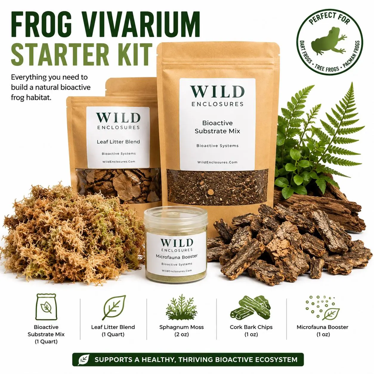 Frog Vivarium Starter Kit | Bioactive Habitat Bundle