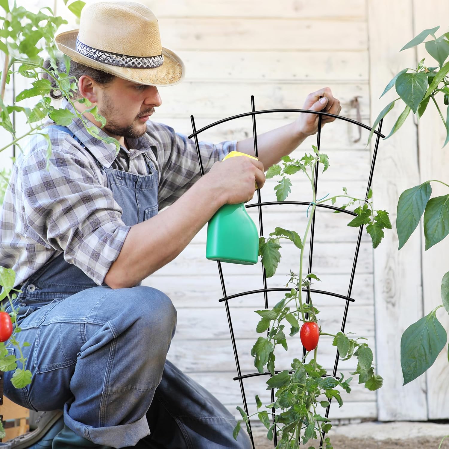 Arifaro 4 Pack 32" Metal Plant Trellis for Pots & Garden Beds, Rustproof Support for Indoor Outdoor Climbing Plants, Vines, Flowers, Fan Shaped, Black