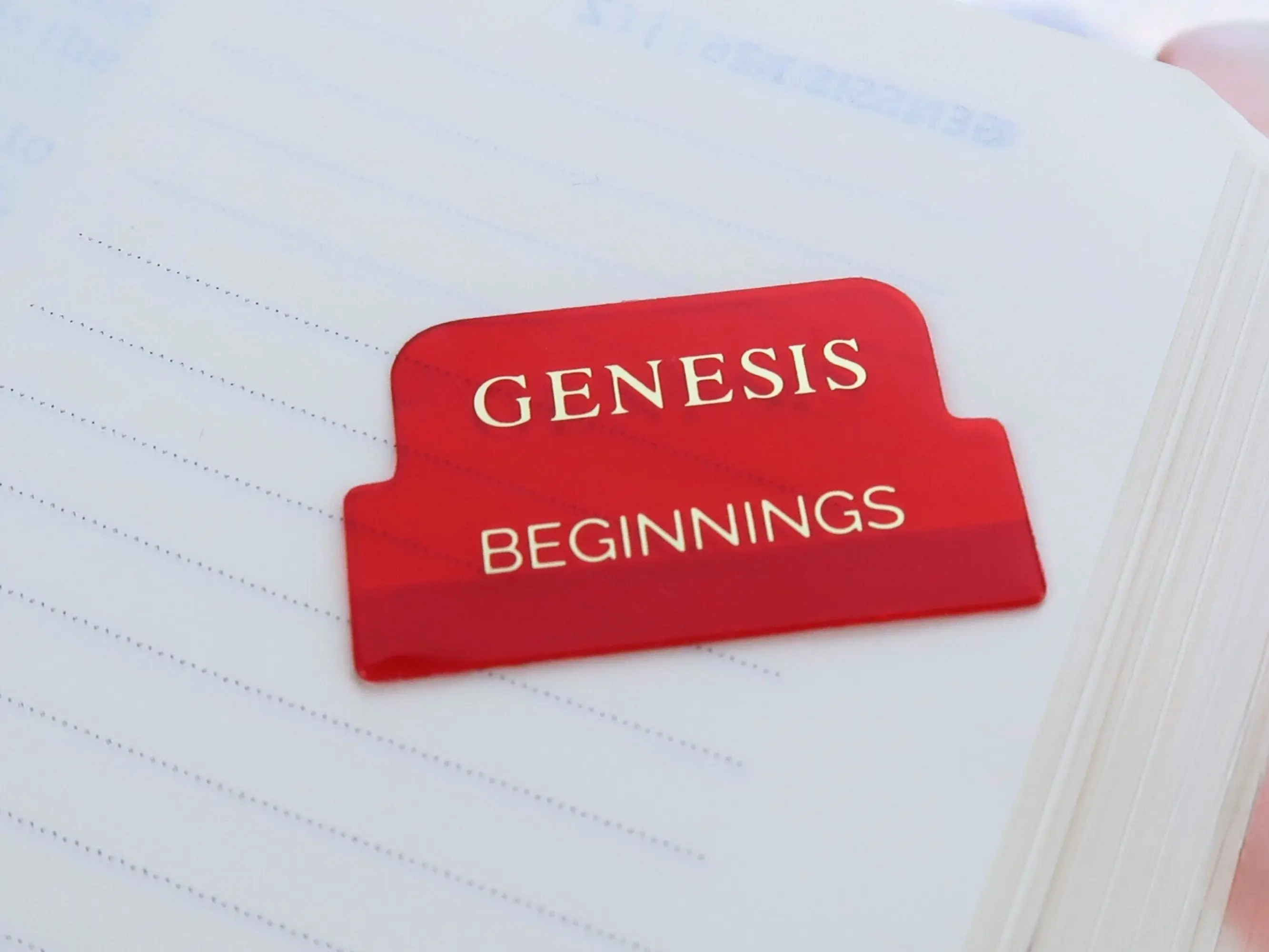 Red Transparent Bible Tabs with Gold Letters Books of the Bible English Bible Tabs Peel and Stick Christian Book Themes