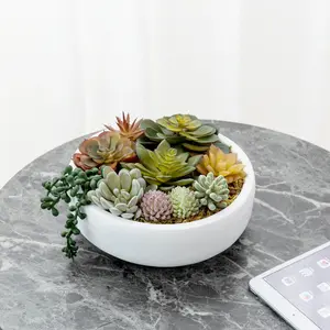 8 Inch Round Artificial Succulent Arrangement Potted, White Concrete Plant Container
