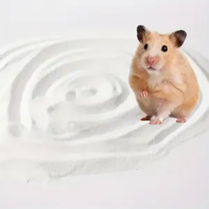 Premium Dust-Free Bath Sand 7.64/3.53oz, Ultra-Fine Quartz Sand for Small Pets, Suitable for Hamsters, Hedgehogs, Guinea Pigs, Syrian Mice