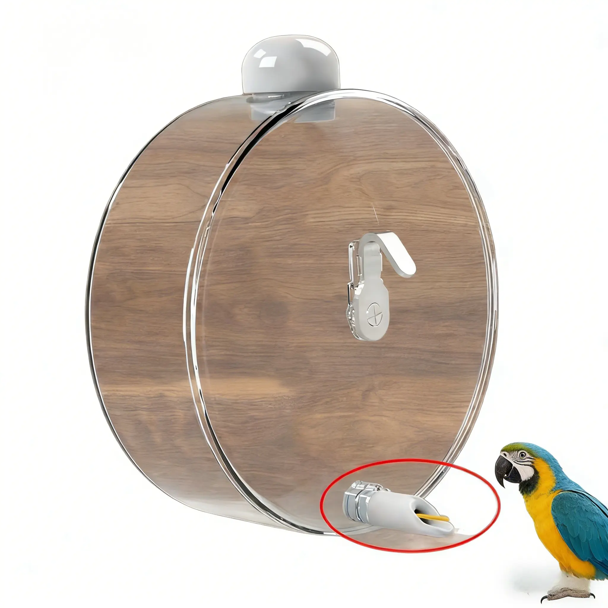 Premium Bird Space Capsule Automatic Water Dispenser for Budgies and ...