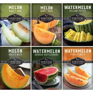 Survival Garden Seeds Melon Seed Collection - 6 Varieties Including Honeydew, Honey Rock Cantaloupe, Tendersweet Orange Watermelon for High Yields in Full Sun - Tasty Fruit