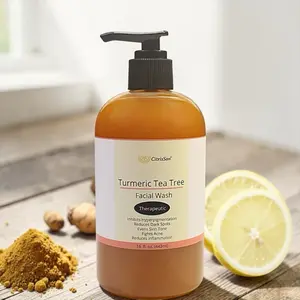 CitrisSan Turmeric Tea Facial Wash 16 oz. - Daily Cleansing for Normal & Oily Skin, Blemish Care, Brightening, Skin Repair, Moisturizing (Single Item)