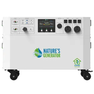 Powerhouse V2 Whole Home Generator