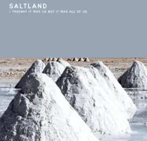 Saltland - I Thought It Was Us But It Was All of Us  [VINYL RECORD - LP] 180 Gram