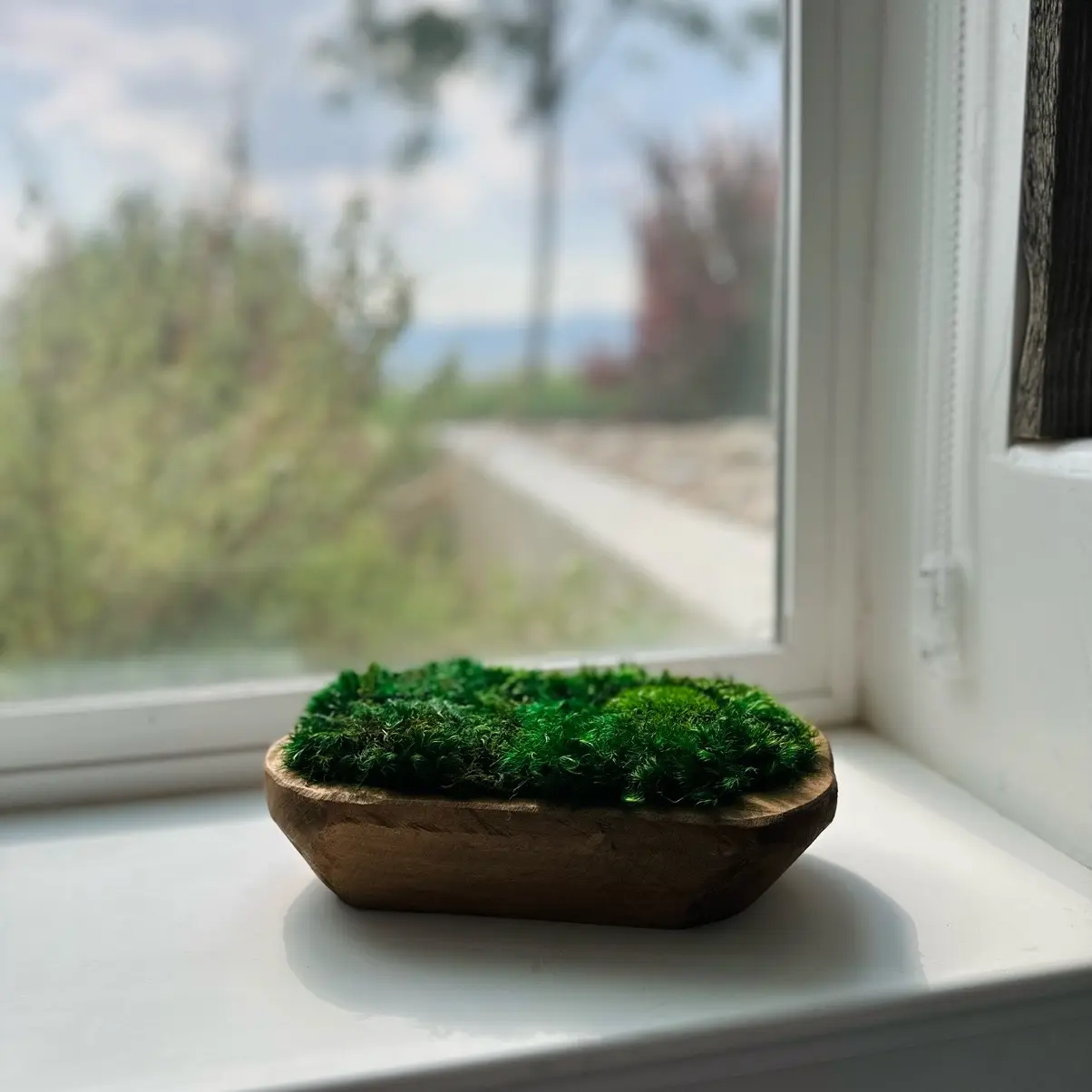 9” Preserved Moss Dough Bowl Centerpiece by Earthy Emporiums – Decorative Natural Greenery for Home or Office
