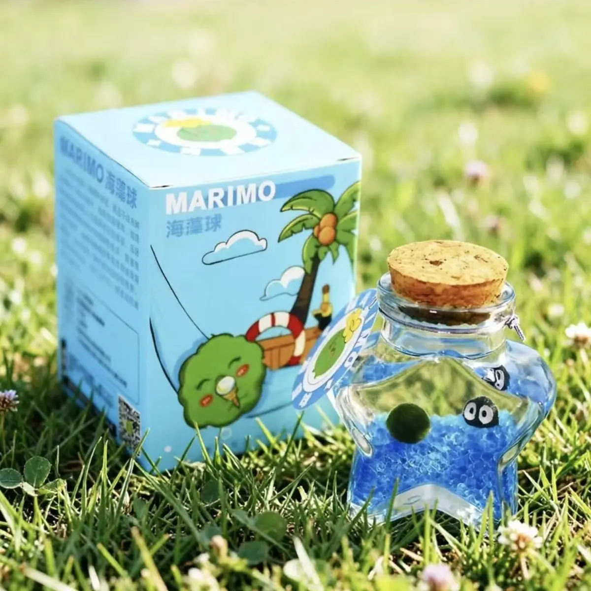 Enchanting Marimo Starry Wishing Bottle - Live Aquarium Plant Habitat, A Self-Sustaining DIY Micro-Landscape with Glittering Stars for Desk (Includes LIVELY Moss Ball Pet)