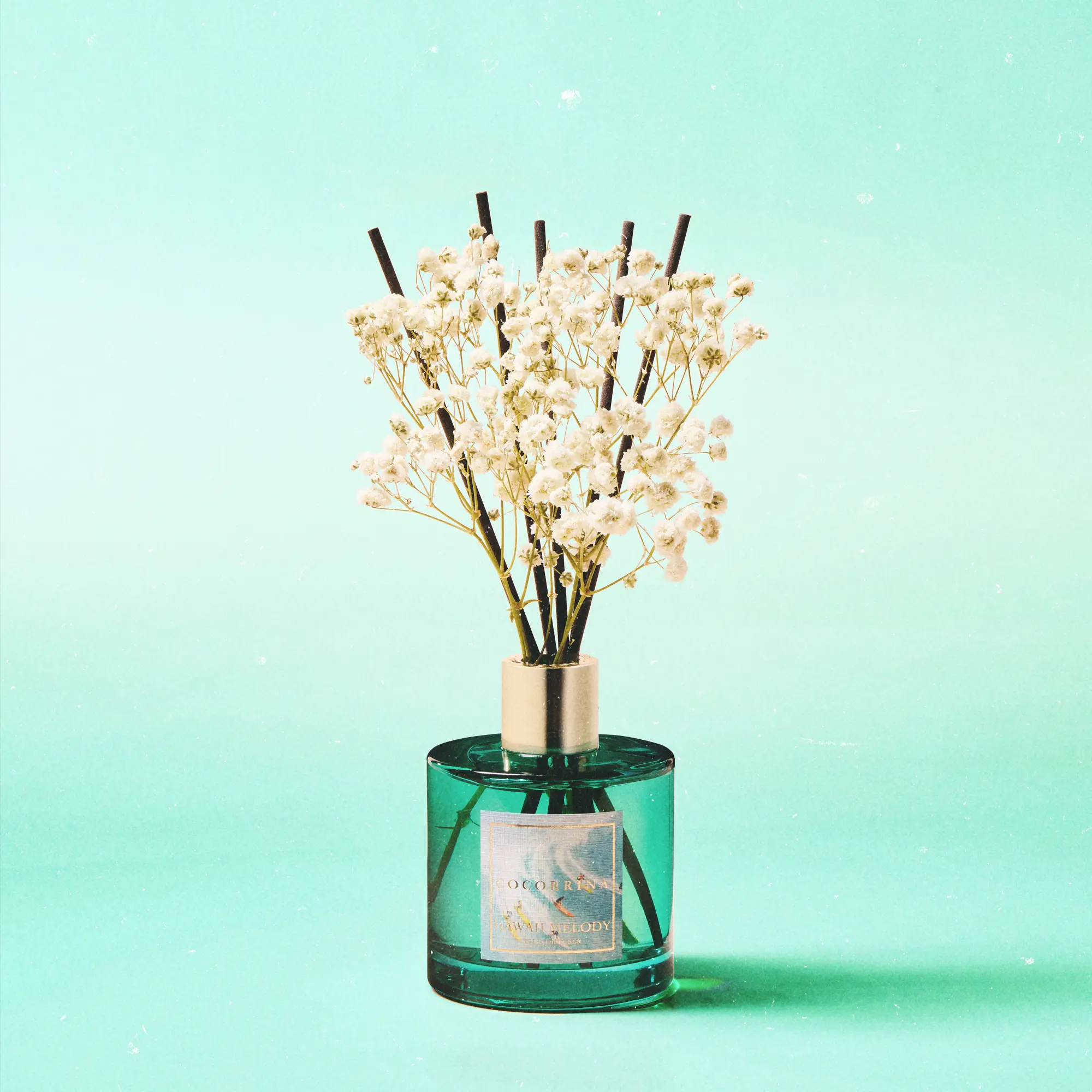 COCORRÍNA Reed Diffuser - Hawaii Melody 6.7 Fl.oz Reed Diffuser Set with 8 Sticks & Preserved Baby's Breath, Reed Diffuser for Home Bathroom Shelf Decor