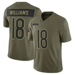 Chicagoo Williams Olive 2025 Salute to Service Limited Jersey New 2025 Print Full Logo America Football Jersey Team Uniform Perfect Gift for Sports Fans Themed Salt Pepper Shakers