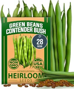 Non GMO Contender Bush Bean Pack - 28 Heirloom Green Beans, Vegetable Seeds for Planting, Emergency Food Supply (Phaseolus vulgaris)