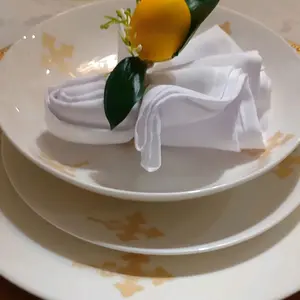 Golden Cross Muluya 12 Pieces Dinner set