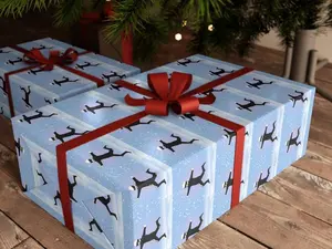 Jujutsu Kaisen Gift Wrapping Paper, Anime Gift Wrap, Christmas Gift Wrap, Gojo Satoru Gift Wrap, Otaku Gift for Him or Her, Manga Gift Wrap