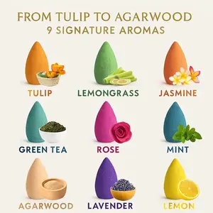 Natural Reversal Incense Cones Set, 98-198-297 Pieces, 6 Fragrances, Ideal for Meditation & Relaxation, Elegant Packaging, Perfect Gift