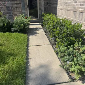 review image 8