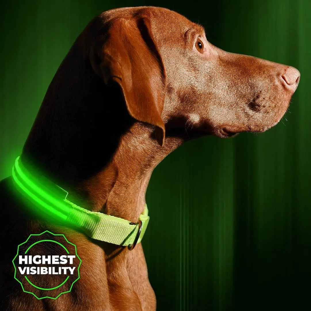 High-Visibility USB Rechargeable LED Pet Collar, Ideal for Night Walks, Suitable for Dogs and Cats