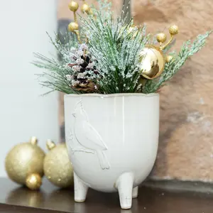 Xmas Mix in 4.5"Cardinal Ceramic Footed Pot