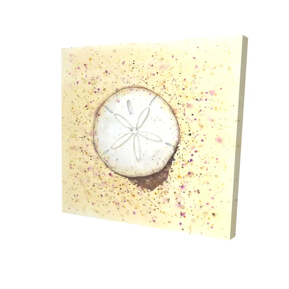 Begin Home Decor 2080-2424-CO140 24 x 24 in. Sand-Dollar Beige Canvas - Aquatic Bathroom Decor Art