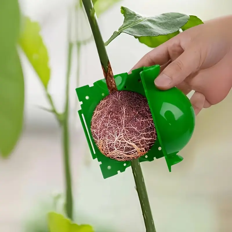 20pcs Root Growth Boxes, Root Ball Grafting Tool, High Pressure Plant Propagation, Air Layered Bean Pods, Plant Cutting Grafting Ball Device, Plant Growing Set, Breathable Planting Container