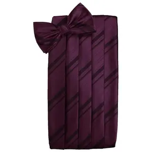 Berry Striped Satin Cummerbund