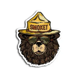 Smokey Groovy Bear Sticker