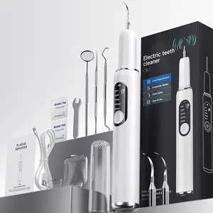 Plaque Remover for Teeth, Tartar Remover for Teeth Cleaning with 2 Replaceable Heads and 5 Adjustable Modes, Rechargeable Teeth Cleaning Plaque Remover for Home