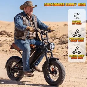 Terrosor 1000w Adult Off-Road Electric Bike, Five-Speed Transmission, 16-Inch Wide Tires, 48v15ah Removable Battery, Front And Rear Dual Disc Brakes With Dual Spring Shock Absorbers outdoorfun