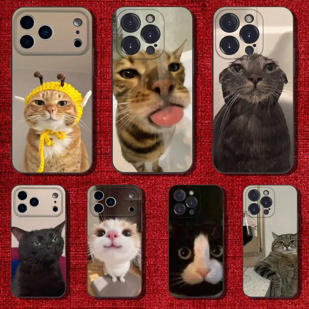 Funny animal cat phone case, shockproof soft silicone protective cover, compatible with iPhone 17/16/15/14/13/12/11/X/XS/XS Max/16E/17E, suitable as a holiday gift for friends, family, or yourself, Accessories, Smartphone, Cellphone, Handheld tiktokshopba