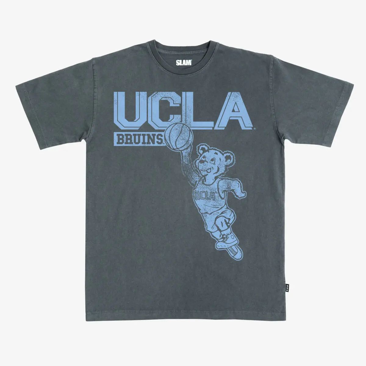 UCLA Monochromatic Heavy Tee, Crewneck Sweater, Hoodie