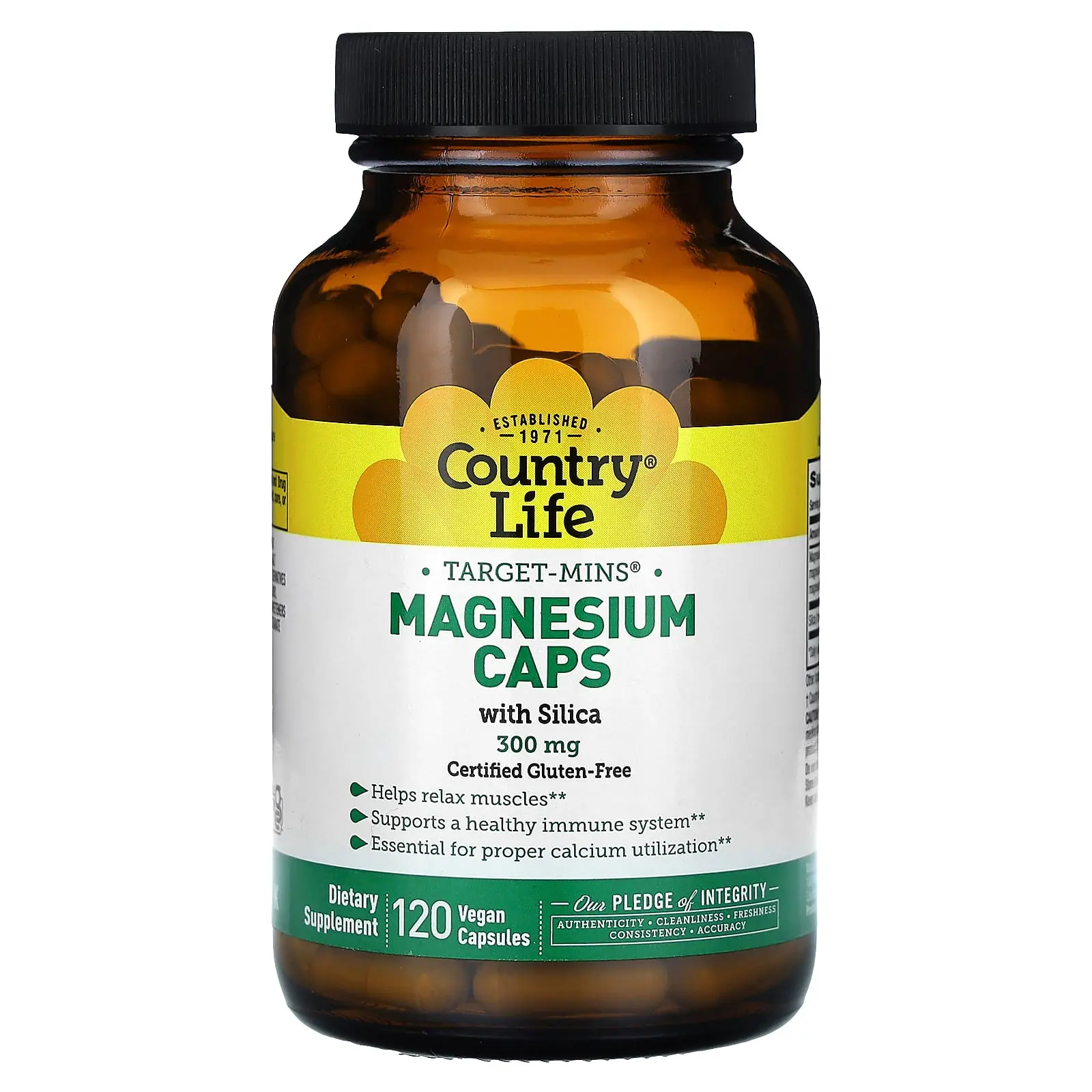 Country Life Target-Mins®, Magnesium with Silica, 120 Vegan Capsules