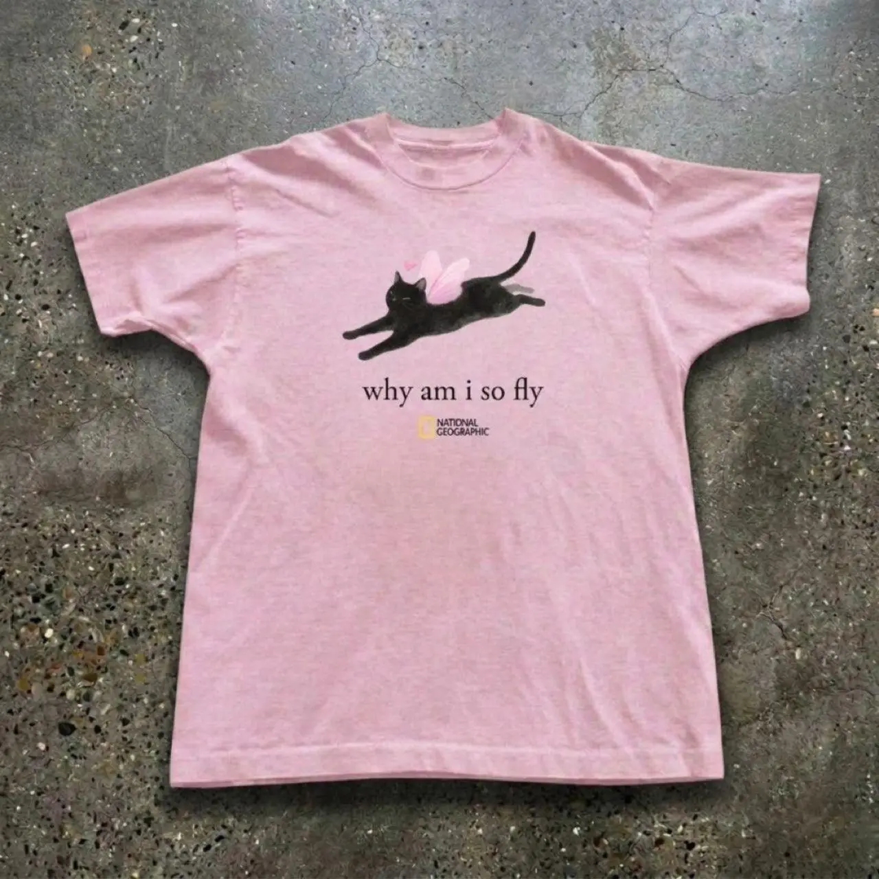 Handmade Print ShirtWhy am I so fly Women's Pink Baby tee, y2k clothing, Pinterest ,vintage