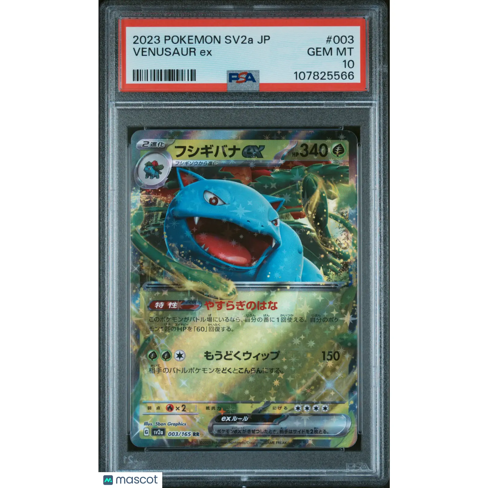 2023 POKEMON JAPANESE SV2A-POKEMON 151 #003 VENUSAUR EX PSA 10