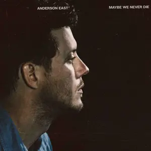 Anderson East - Maybe We Never Die  [VINYL RECORD - LP]