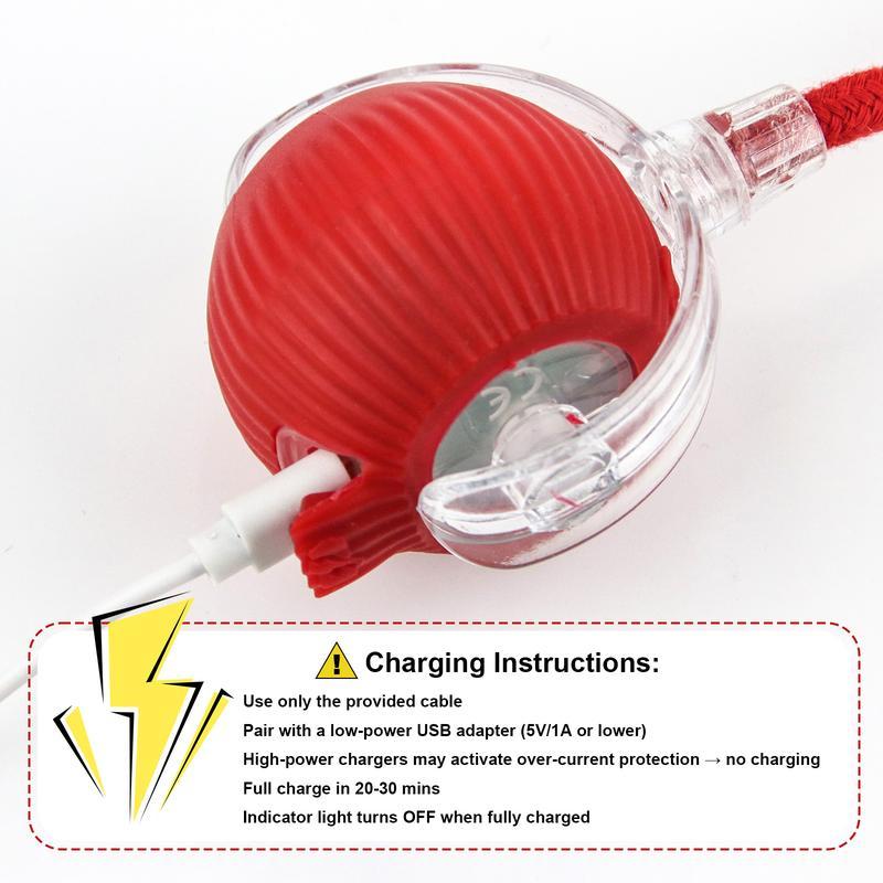 【FREEShip】Cat & Dog Need Toy - Interactive USB Rechargeable  Ball Toy on Rug with Bird Chirping, Pet Fun Companion Toy Electronic with Sound and Light Cat and Dog Companion Toy-Anti-Depression Fun Gift for Cats & Dogs